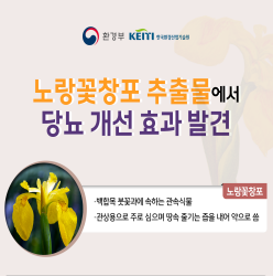 노랑꽃창포 추출물에서 당뇨 개선 효과 발견